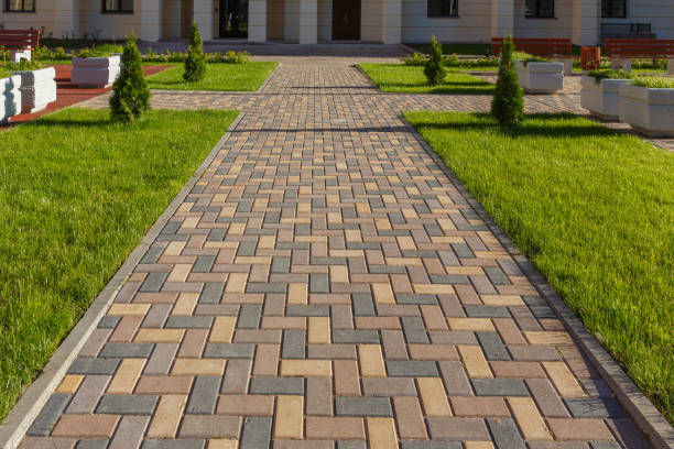 Best Driveway Paving Contractor  in Norwalk, CT